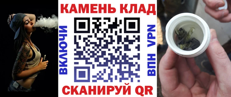 ГАШ Premium Перевоз